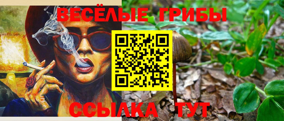 Галлюциногенные грибы Psilocybine cubensis  сколько стоит  Сертолово  Вход с VPN  Псилоцибиновые грибы Psilocybe 